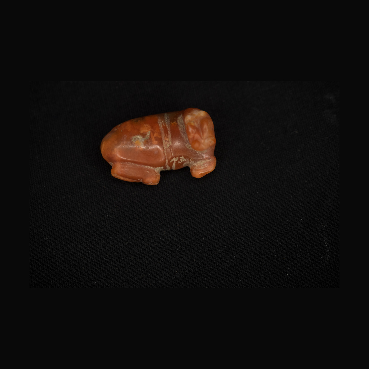 Rare hippopotame couché thumbnail 3