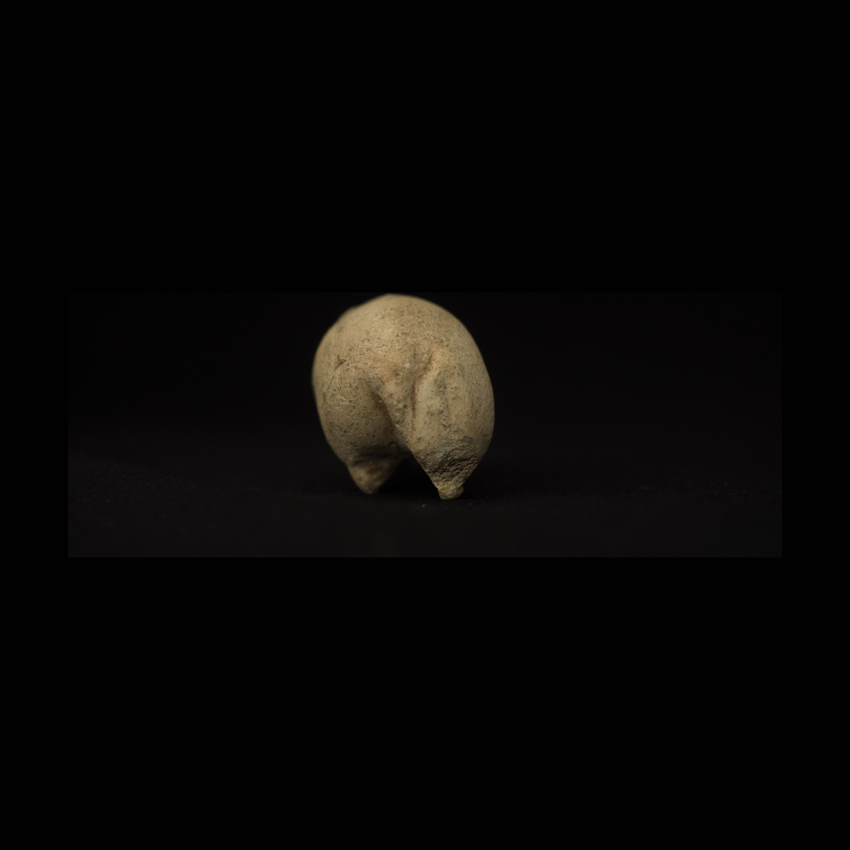 Hippopotame marchant thumbnail 4