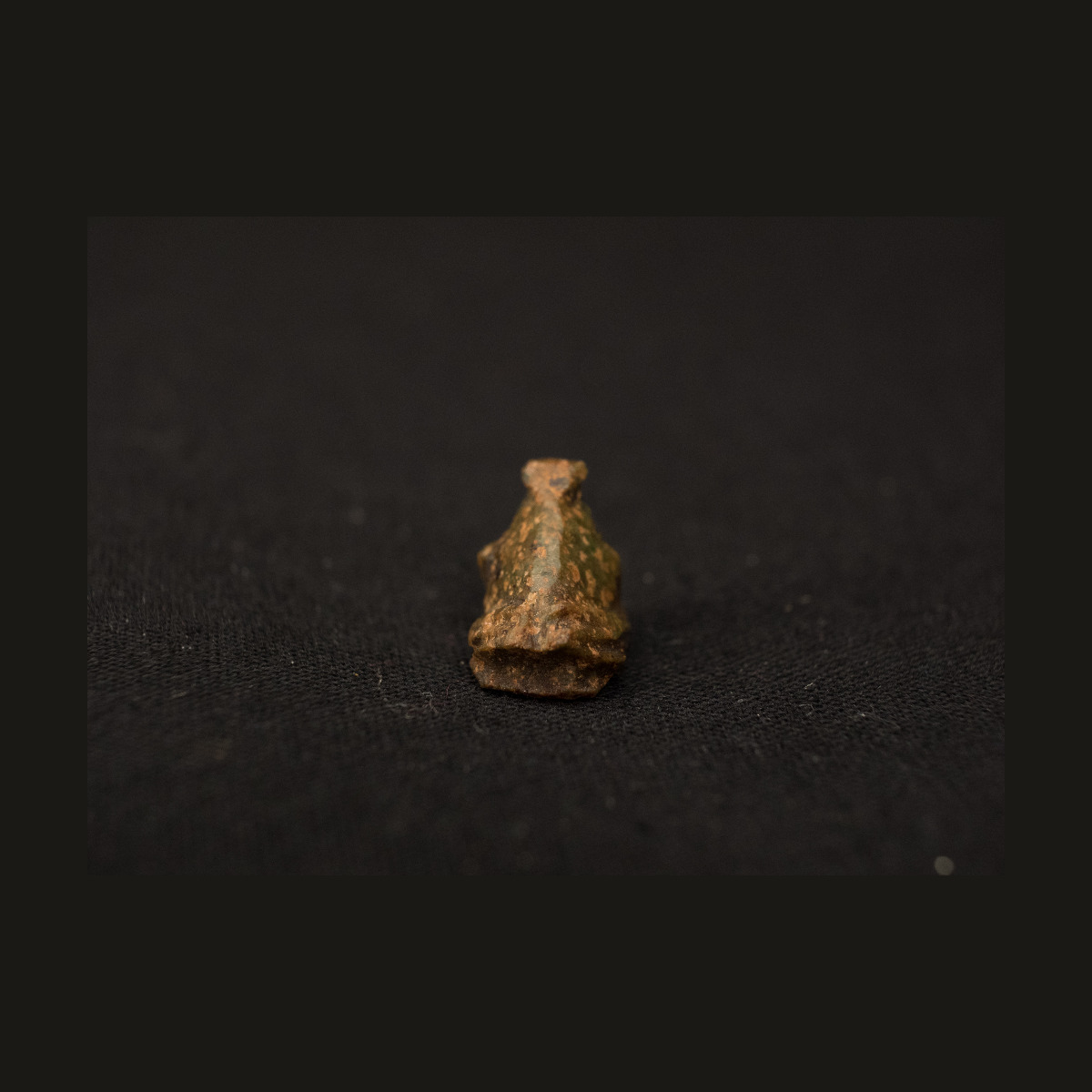 Grenouille thumbnail 2