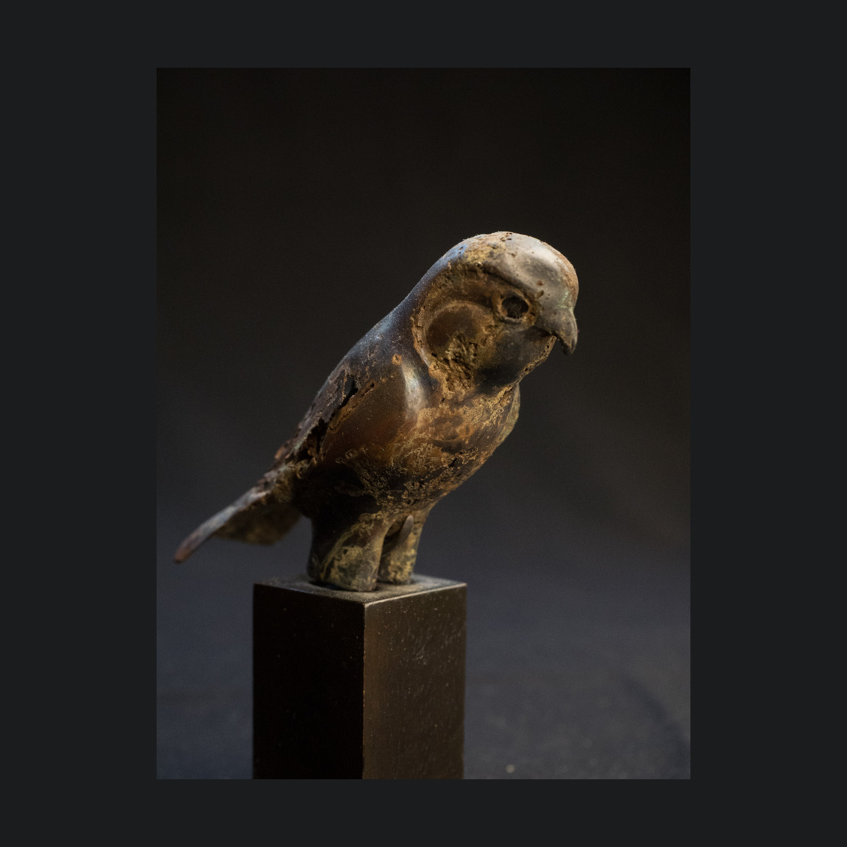 Rare Faucon Horus