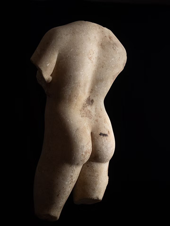 Torse d'enfant nu, Bacchus